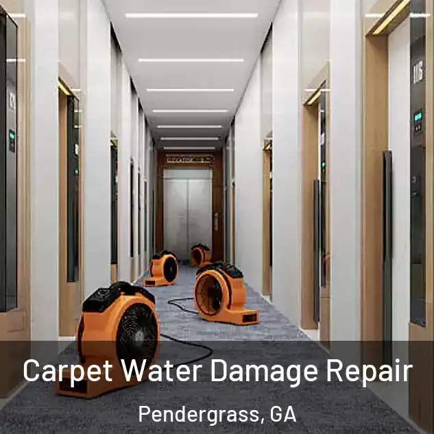  Carpet Water Damage Repair Pendergrass, GA