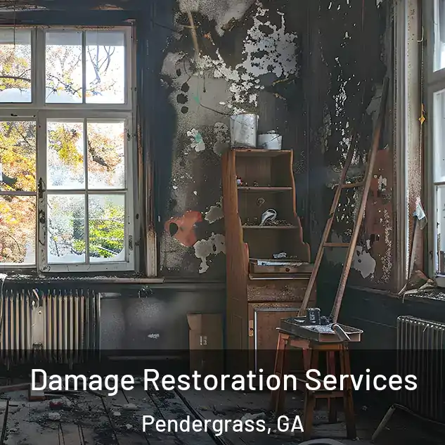  Damage Restoration Services Pendergrass, GA