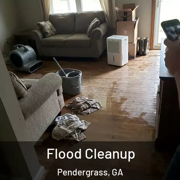  Flood Cleanup Pendergrass, GA