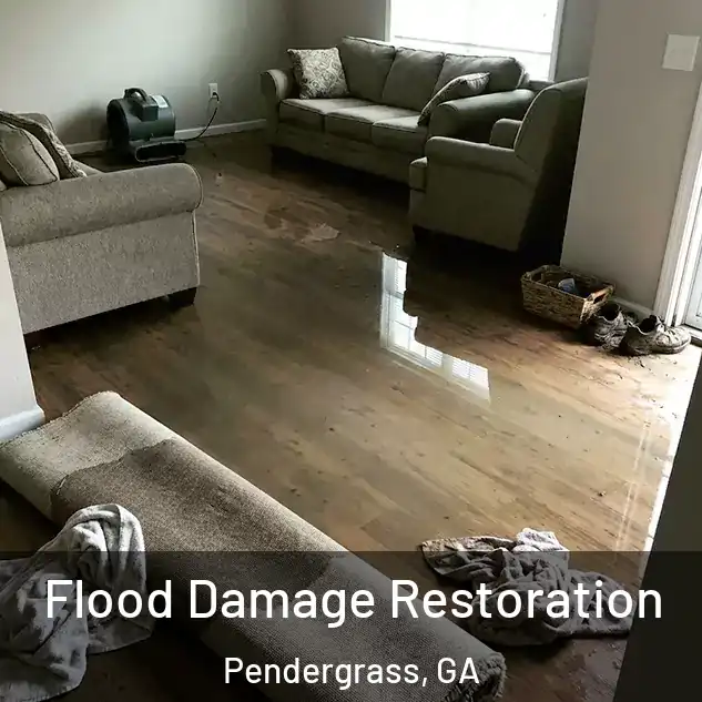  Flood Damage Restoration Pendergrass, GA