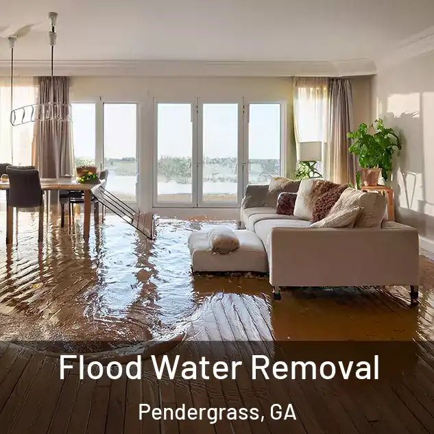  Flood Water Removal Pendergrass, GA