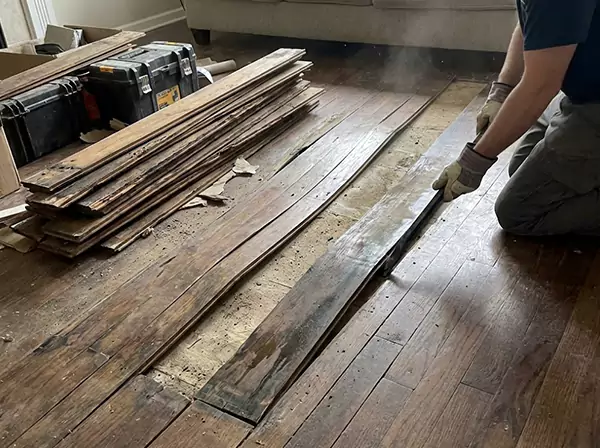 Water Damage Drying in Pendergrass