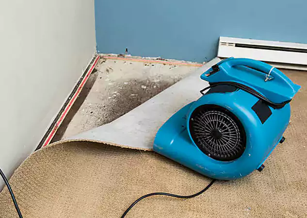 Your Water Damage Experts in Pendergrass, GA