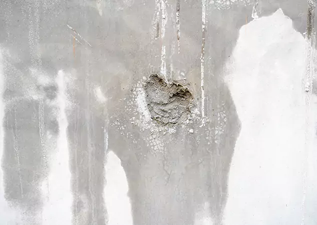 Your Mold Mitigation Solutions Partner in Pendergrass, GA