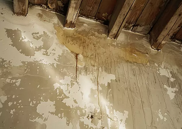 Your Trusted Restoration Company in Pendergrass, GA