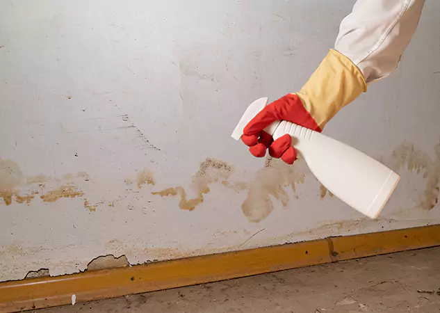 Your Water Restoration and Mold Remediation Specialists in Pendergrass, GA