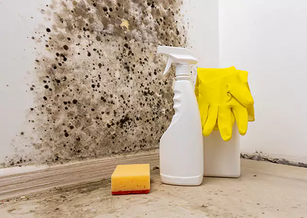 Your Reliable Restoration Company in Pendergrass, GA