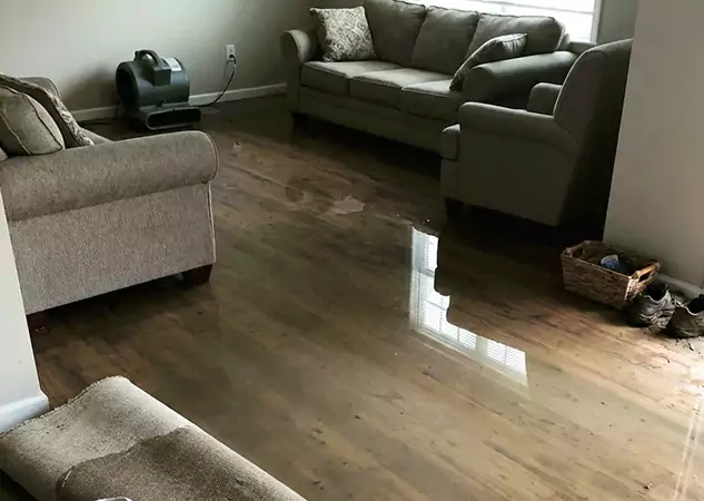 Your Trusted Restoration Company in Pendergrass, GA