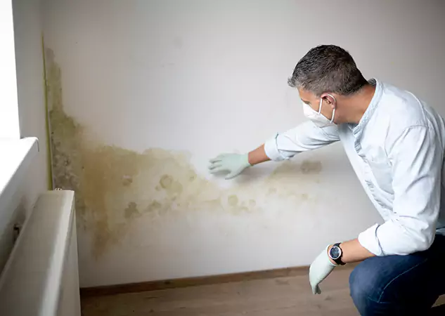 Reach Our Remediation Team Before Damage Grows in Pendergrass, GA!