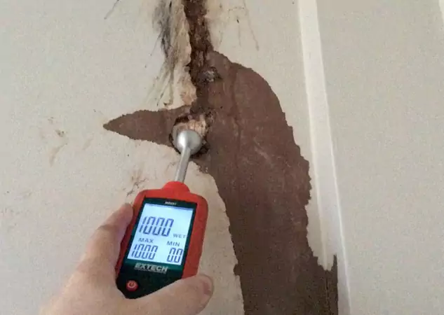 Your Water Damage Assessment Partner in Pendergrass, GA