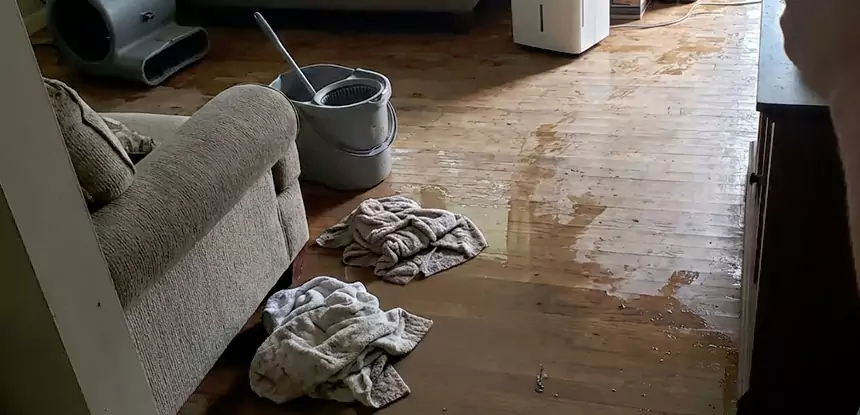 Professional Basement Water Remediation Services in Pendergrass, GA