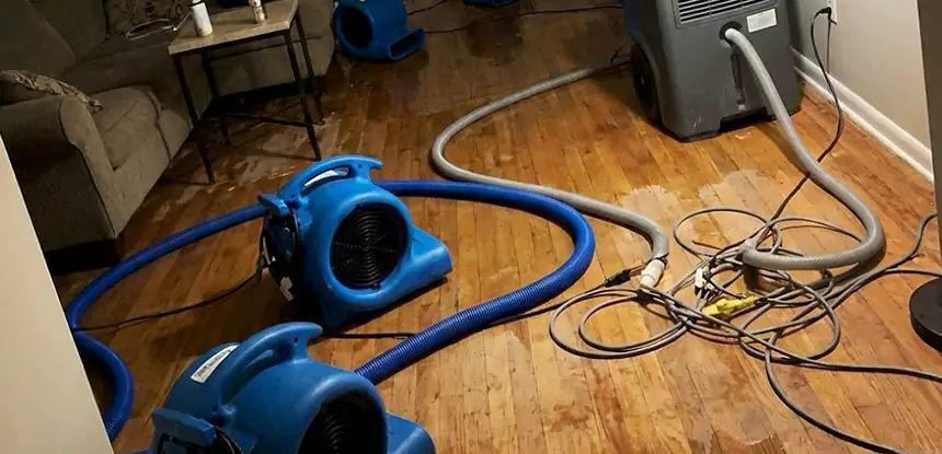 Basement Flood Restoration Services in Pendergrass