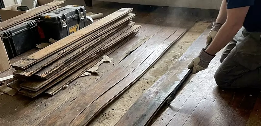 Wood Rot and Fungus Repair in Pendergrass