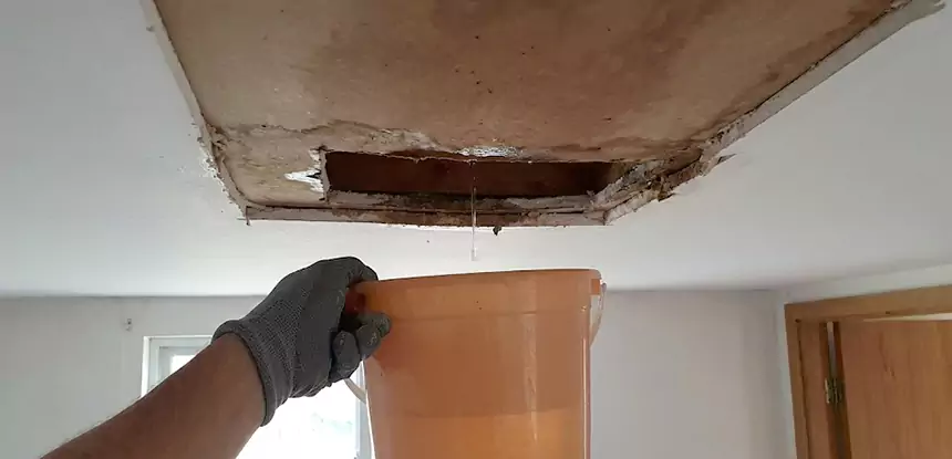 Ceiling Mold Repair Pendergrass