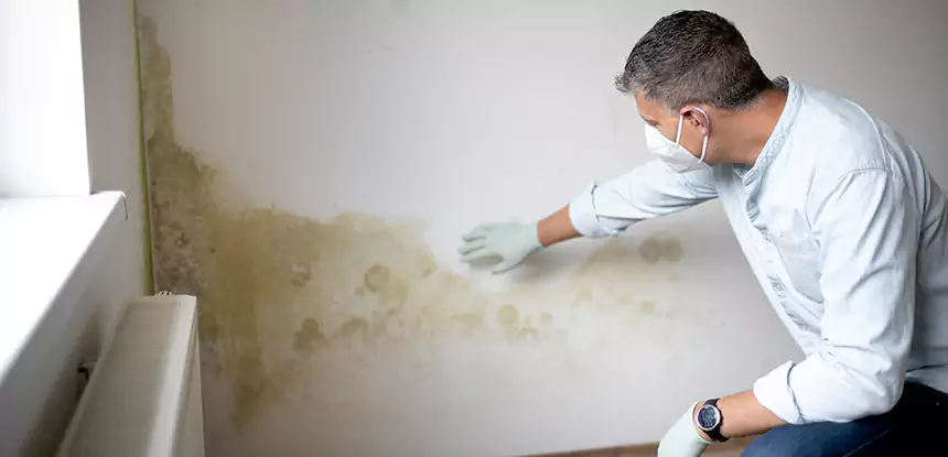 Mold and Water Damage Repair in Pendergrass