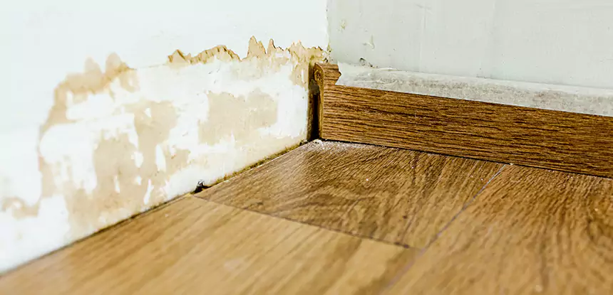 Professional Fix Water Damaged Wood Services in Pendergrass, GA