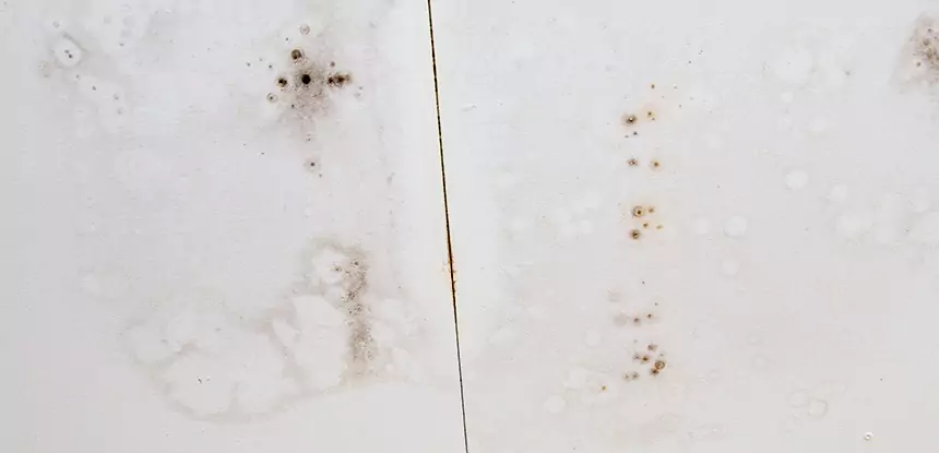 Professional Water Stain Repair Services in Pendergrass, GA