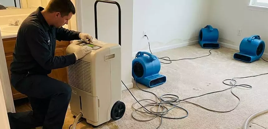 Professional Wet Carpet Removal Services in Pendergrass, GA