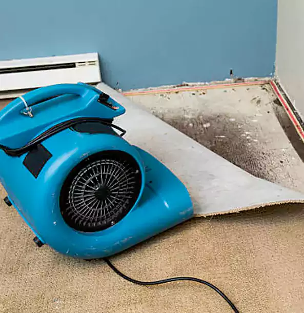 Why Pendergrass Trusts Pendergrass Restoration Pro for Carpet Flood Recovery?