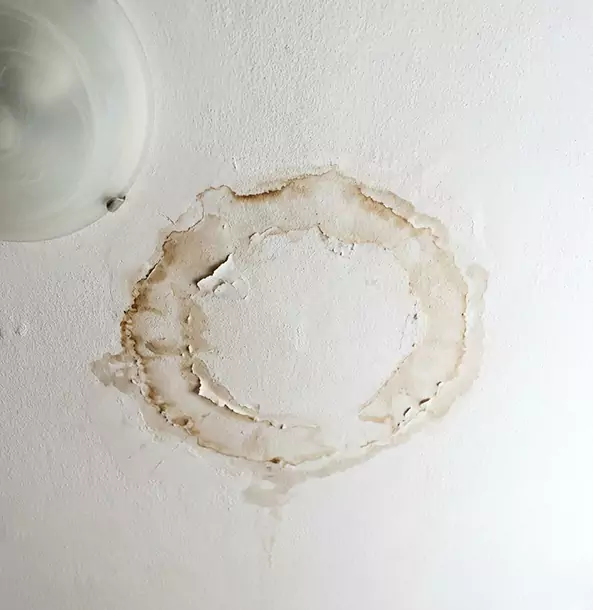 Why Pendergrass Property Owners Choose Pendergrass Restoration Pro for Ceiling Water Damage Restoration?