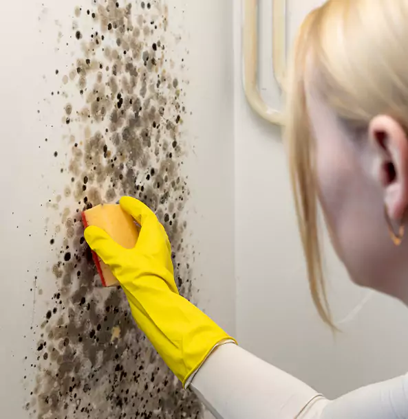 Why Pendergrass Restoration Pro Leads Mold Remediation in Pendergrass?