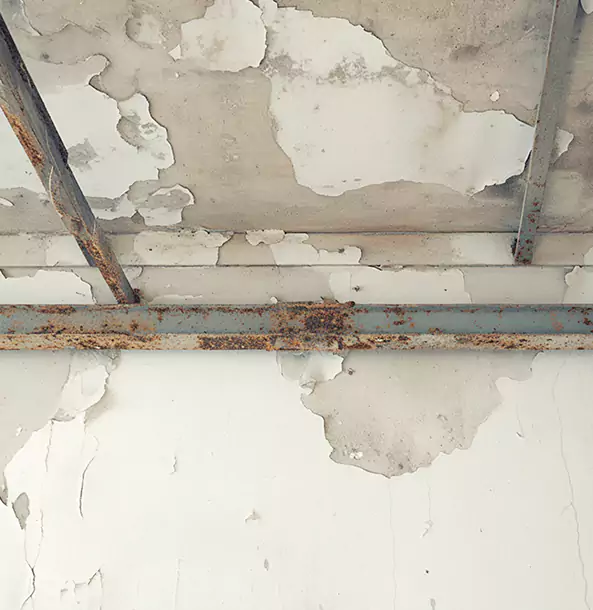Why Pendergrass Restoration Pro Is the Right Choice in Pendergrass, GA?