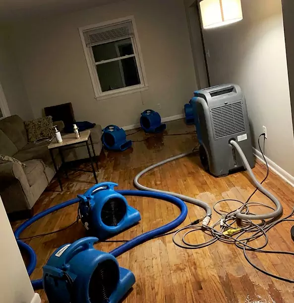 Why Pendergrass Property Owners Rely on Pendergrass Restoration Pro for Remediation?