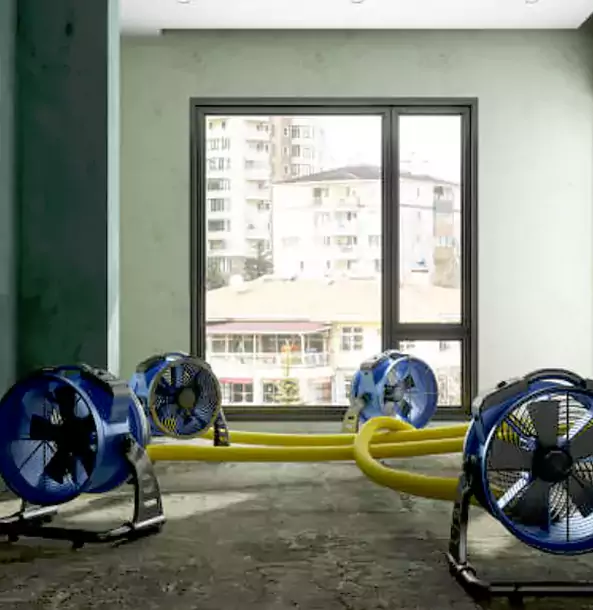 Why Pendergrass Property Owners Trust Pendergrass Restoration Pro for Water Damage Drying?