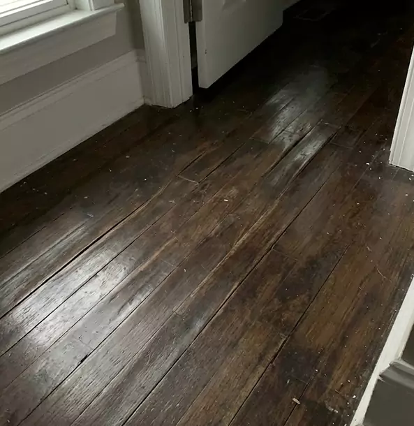 Why Pendergrass Homeowners Trust Pendergrass Restoration Pro to Fix Water Damaged Wood?