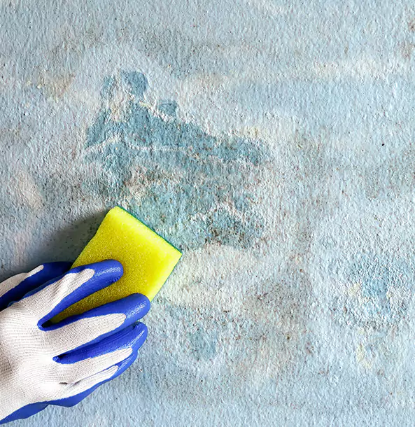 Why Pendergrass Restoration Pro Is the Right Choice in Pendergrass, GA?