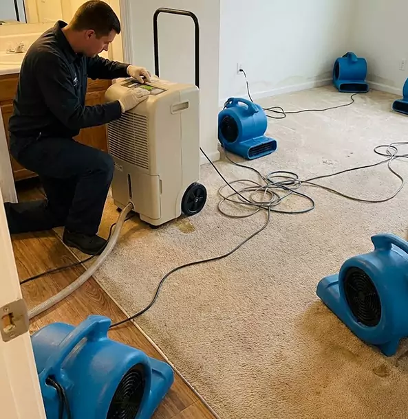 Why Pendergrass Homeowners and Businesses Trust Pendergrass Restoration Pro for Carpet Drying?