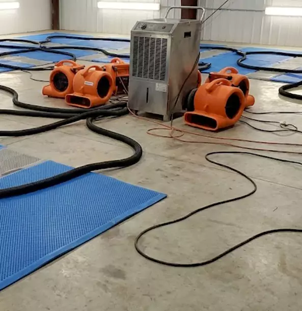 Why Pendergrass Homeowners and Businesses Choose Pendergrass Restoration Pro for Wet Carpet Removal?