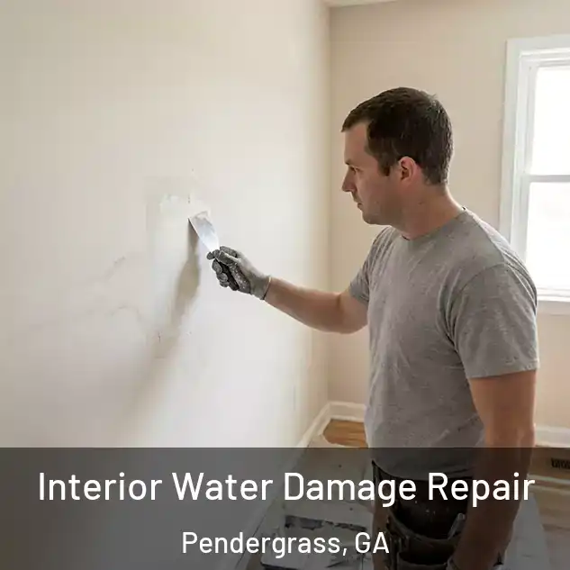  Interior Water Damage Repair Pendergrass, GA