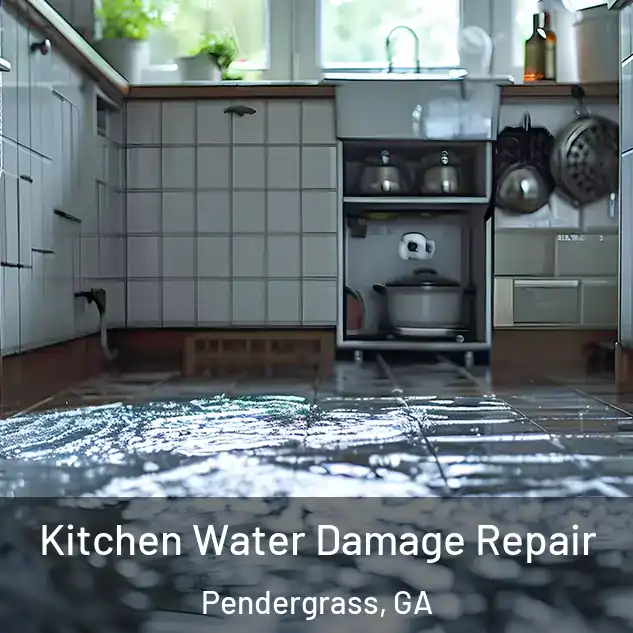  Kitchen Water Damage Repair Pendergrass, GA