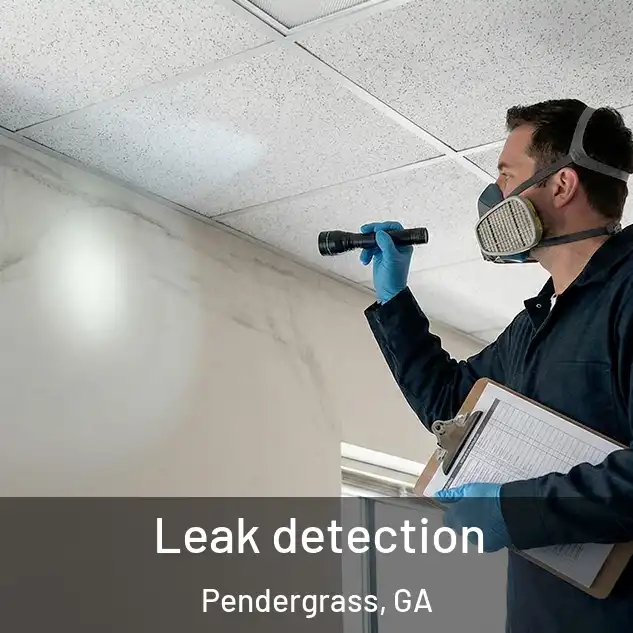 Leak detection Pendergrass, GA