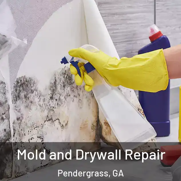  Mold and Drywall Repair Pendergrass, GA