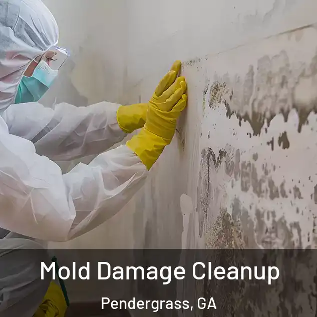  Mold Damage Cleanup Pendergrass, GA