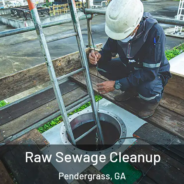  Raw Sewage Cleanup Pendergrass, GA