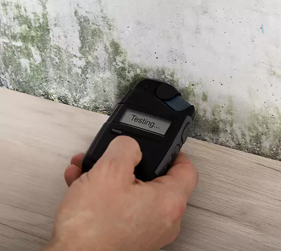 Mold Remediation Service Pendergrass