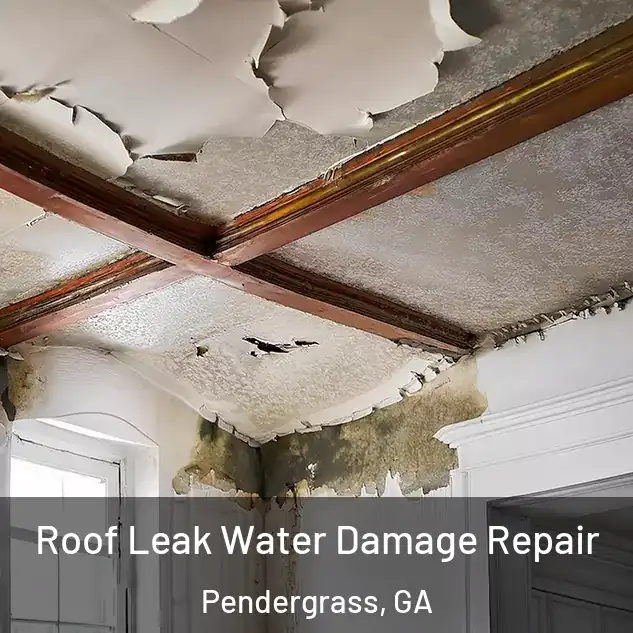  Roof Leak Water Damage Repair Pendergrass, GA
