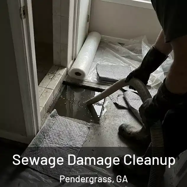  Sewage Damage Cleanup Pendergrass, GA