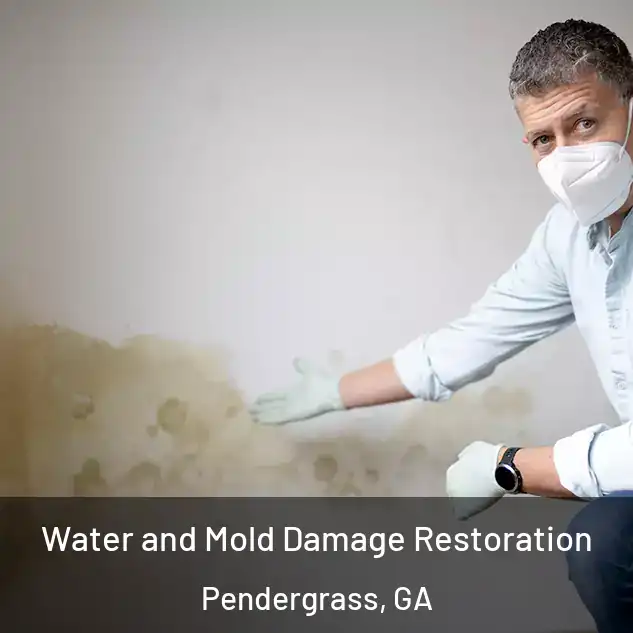  Water and Mold Damage Restoration Pendergrass, GA