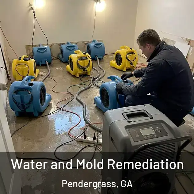  Water and Mold Remediation Pendergrass, GA
