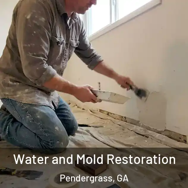  Water and Mold Restoration Pendergrass, GA