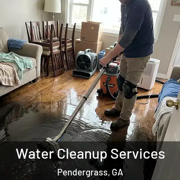  Water Cleanup Services Pendergrass, GA