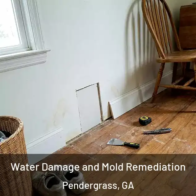  Water Damage and Mold Remediation Pendergrass, GA