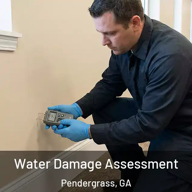  Water Damage Assessment Pendergrass, GA