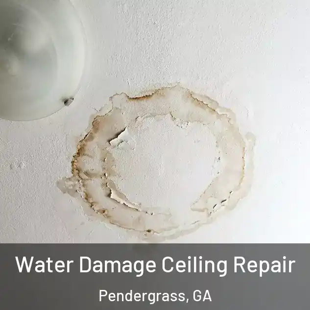  Water Damage Ceiling Repair Pendergrass, GA