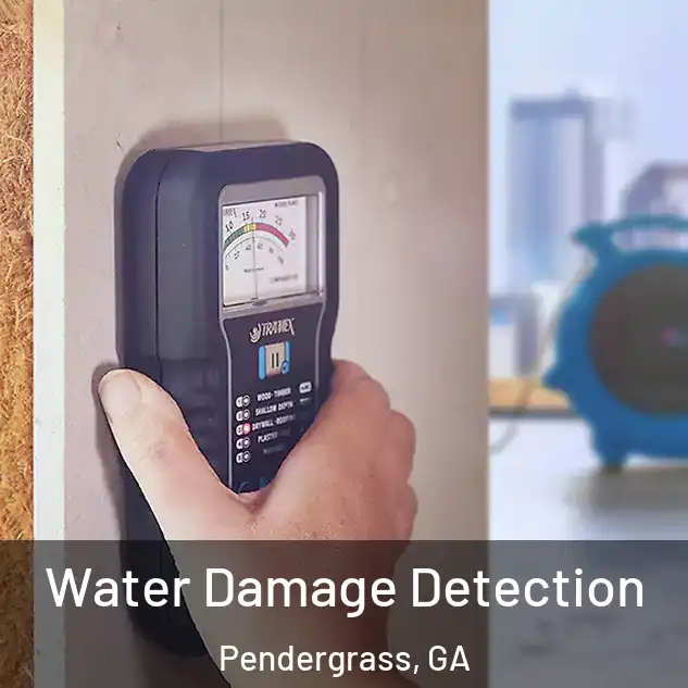  Water Damage Detection Pendergrass, GA