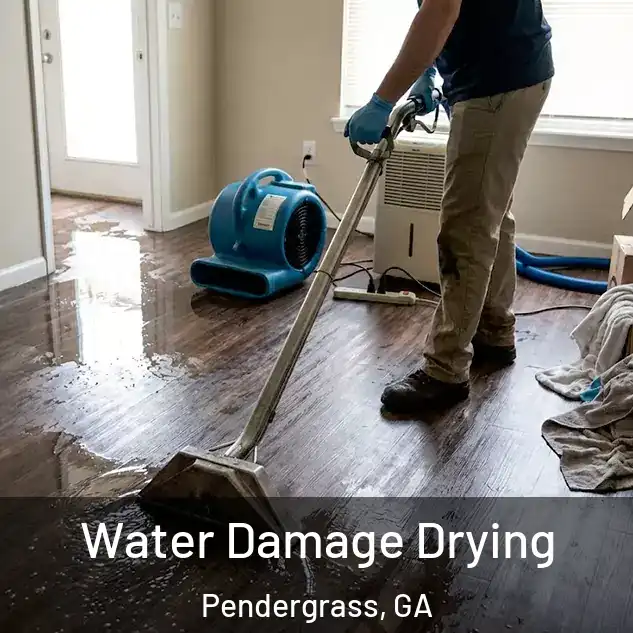  Water Damage Drying Pendergrass, GA